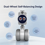 RIG Hover Fully Open-Source 3D-Printed Programmable AI Companion Robot Maker DIY Kit