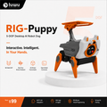 Smart Desktop Pet RIG-puppy (Lulu): Your Exclusive Desktop Cyber Life